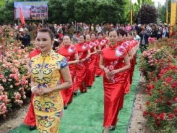 西安鄠邑区首届月季花节开幕，争奇斗艳迎宾客