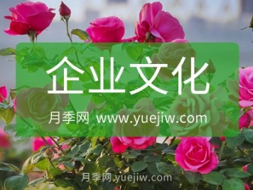 月季网企业文化