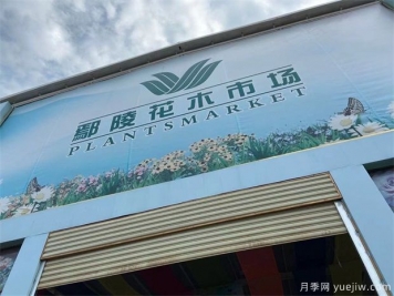 鄢陵县花木产业未必能想到的那些问题