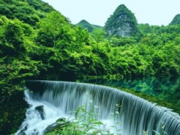 贵州特色林业产业基地达1078万亩
