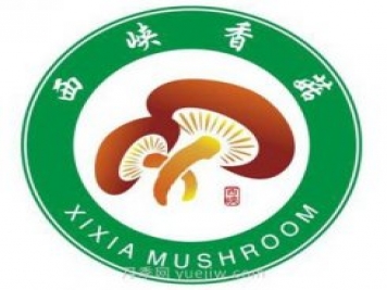南阳西峡：发展菌果药特色产业 全力推进乡村振兴