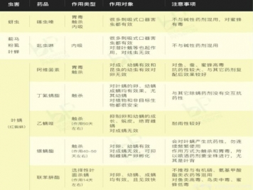 秋季月季花园里5种常见虫害防治详解