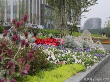 四川成都花卉苗木基地在地资产达800余亿元
