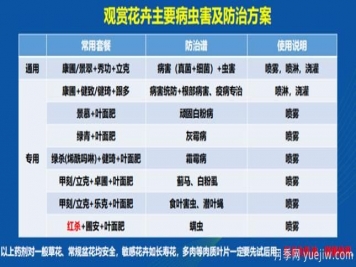 如何提高景观花卉高发虫害的防治效果？