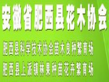 安徽省肥西县花木协会