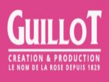 月季育种家：法国吉洛月季公司(Guillot洛特)
