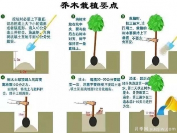 市政道路景观规划设计的主要手法18个问题