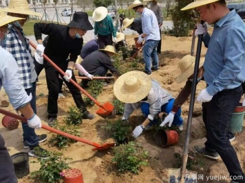 捐赠120个品种1200株月季，感恩母校河南农业大学情