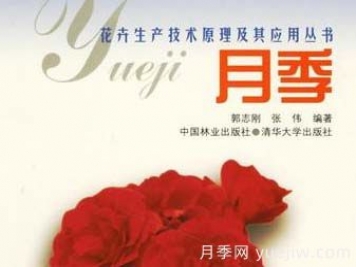 月季图书：郭志刚《月季:花卉生产技术原理及其应用丛书 》