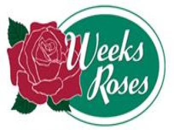 月季育种家：美国威克斯月季公司(Weeks Roses)