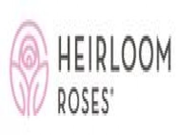 月季育种家：美国传家宝月季公司(Heirloom Roses)