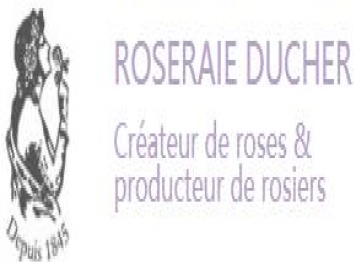 月季育种家：法国Roseraie Ducher