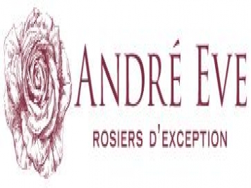月季育种家：法国Roses Anciennes André Eve(安德烈伊芙)