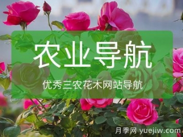 农业网址导航_中国优秀农业苗木网站
