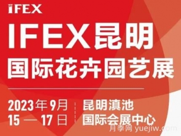 9月15日第二十一届中国昆明国际花卉展举办