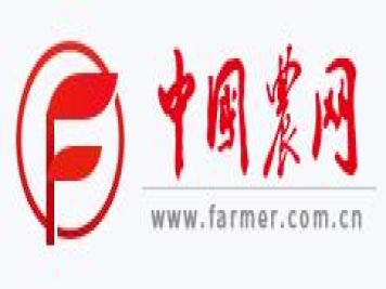 中国农网