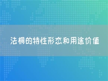 法桐的特性形态和用途价值