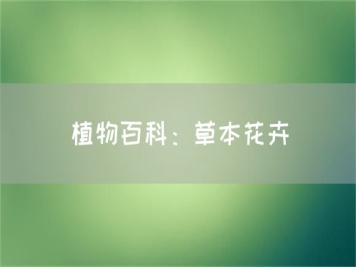 植物百科：草本花卉