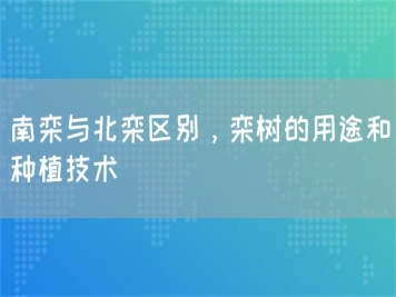 南栾与北栾区别，栾树的用途和种植技术 