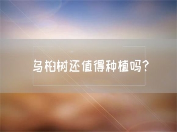 乌桕树还值得种植吗？