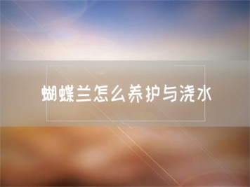 蝴蝶兰怎么养护与浇水