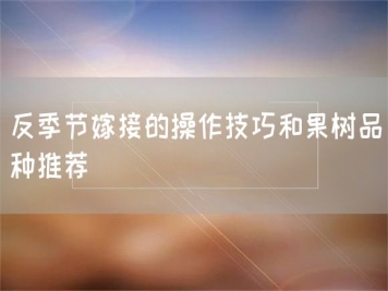 反季节嫁接的操作技巧和果树品种推荐