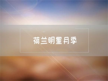 荷兰明星月季