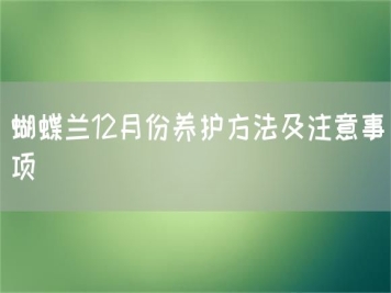 蝴蝶兰12月份养护方法及注意事项