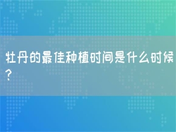 牡丹的最佳种植时间是什么时候？