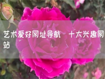 艺术爱好网址导航_十大兴趣网站