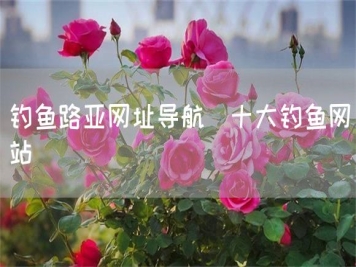 钓鱼路亚网址导航_十大钓鱼网站