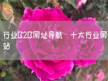 行业B2B网址导航_十大行业网站