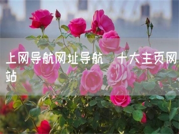 上网导航网址导航_十大主页网站