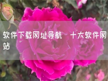 软件下载网址导航_十大软件网站