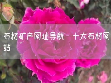 石材矿产网址导航_十大石材网站