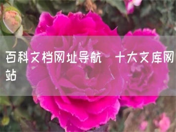 百科文档网址导航_十大文库网站