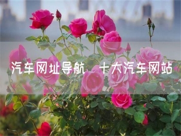 汽车网址导航_十大汽车网站