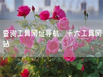 查询工具网址导航_十大工具网站