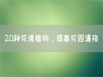 20种花境植物，提高花园逼格