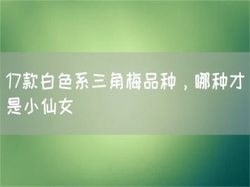 17款白色系三角梅品种，哪种才是小仙女
