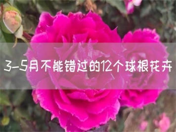 3-5月不能错过的12个球根花卉