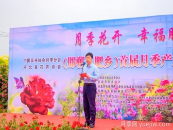 邯郸月季：肥乡区首届月季产业高质量发展大会举办