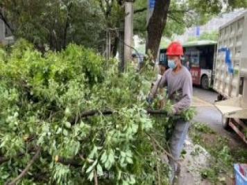 树木削片粉碎车在城市园林绿化养护中的应用