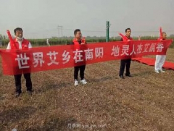 第二届道地“南阳艾”采收节在社旗县大冯营镇举办
