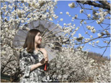 南阳惊蛰时节，花红柳绿又一春
