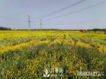 江西省南昌县泾口乡举办首届乡村振兴发展大会