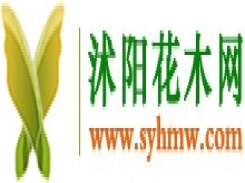 沭阳花木网