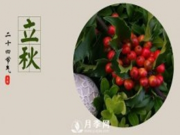 苗木人你知道苗木需要做什么养护吗？