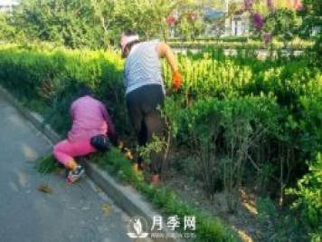 人喊“热” 花草树木也中暑 看我们大南阳如何抗旱防涝