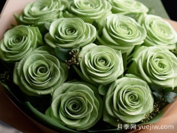 苏格兰复古绿玫瑰，绿色魅力的神秘诠释